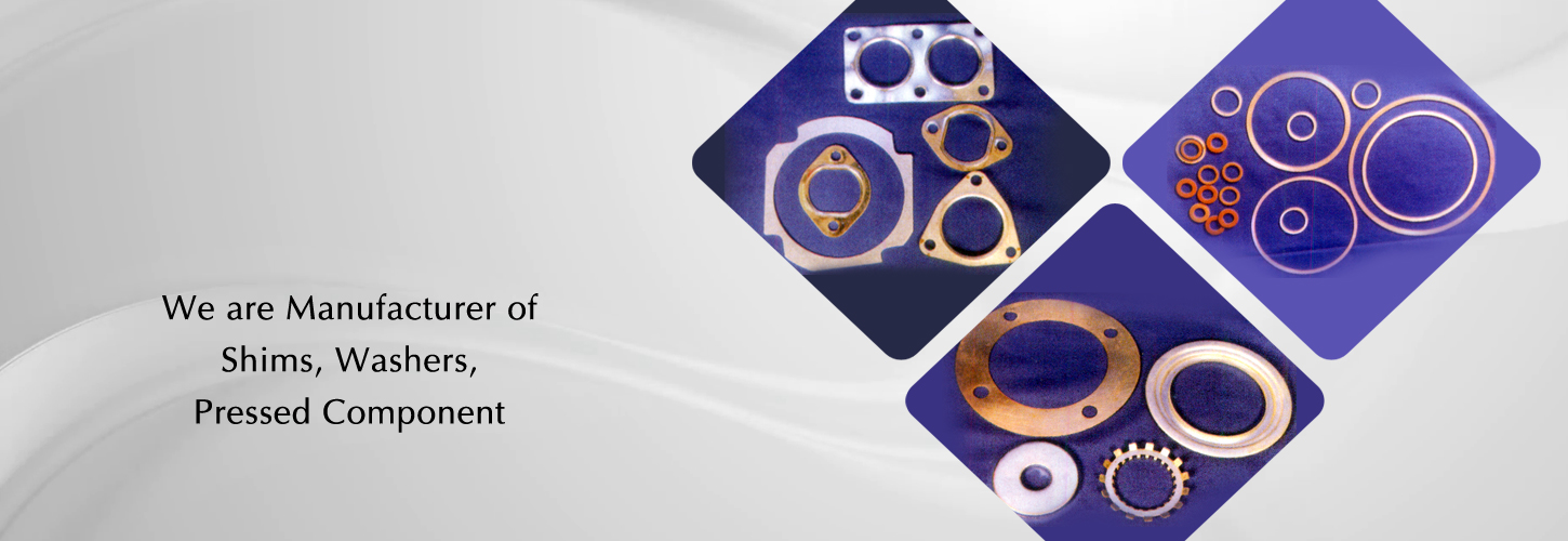 Extruded Rubber Products, Moulded Rubber Products, Graphite Rings, Ceramic Product, Graphite Strip Roll. All Type Of Washers